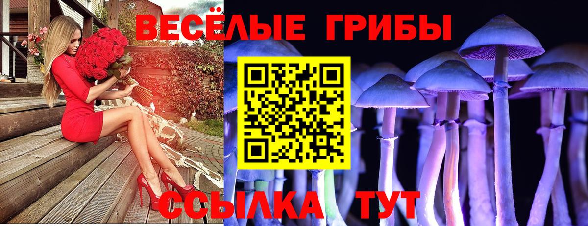 Псилоцибиновые грибы Cubensis  Вход с VPN  Батайск 